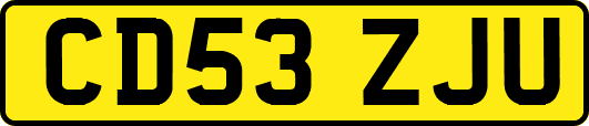 CD53ZJU