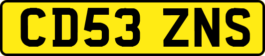 CD53ZNS