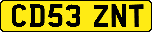 CD53ZNT