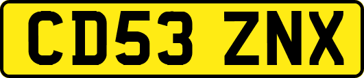 CD53ZNX