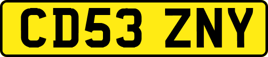 CD53ZNY