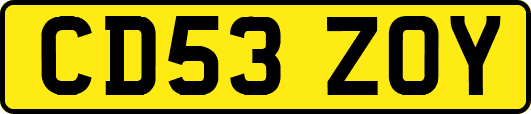 CD53ZOY