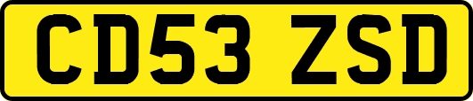 CD53ZSD