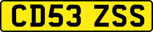 CD53ZSS