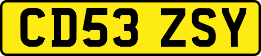 CD53ZSY