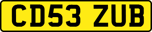 CD53ZUB