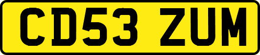 CD53ZUM