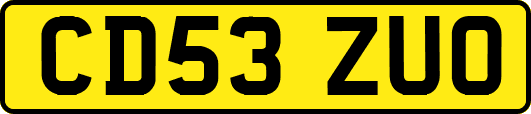 CD53ZUO