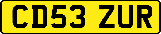 CD53ZUR