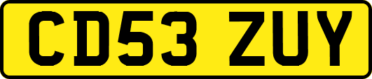 CD53ZUY