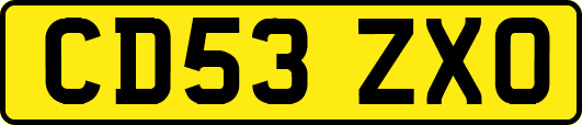 CD53ZXO