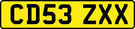 CD53ZXX