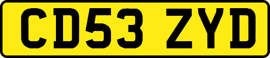 CD53ZYD