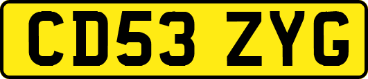 CD53ZYG