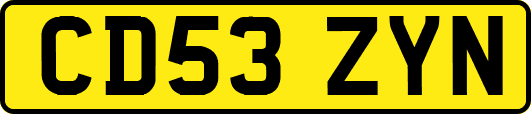 CD53ZYN