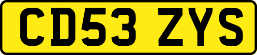 CD53ZYS