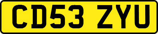 CD53ZYU