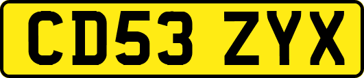 CD53ZYX
