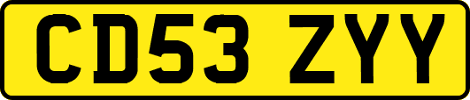 CD53ZYY