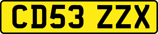 CD53ZZX