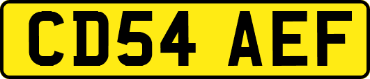 CD54AEF
