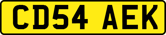 CD54AEK