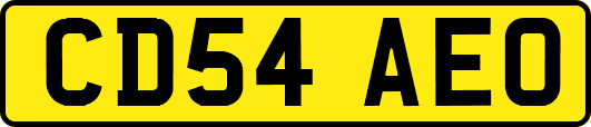CD54AEO