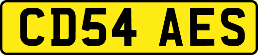 CD54AES