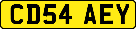 CD54AEY