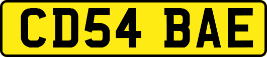 CD54BAE