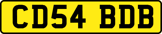 CD54BDB