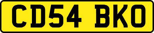 CD54BKO