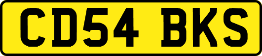 CD54BKS