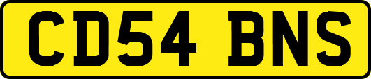 CD54BNS