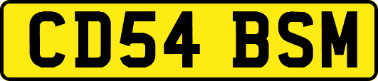 CD54BSM