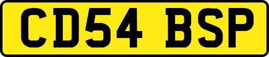 CD54BSP