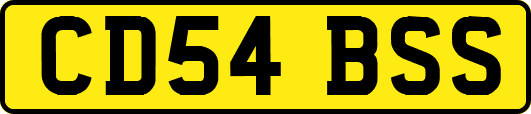 CD54BSS