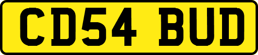 CD54BUD