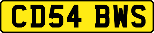 CD54BWS