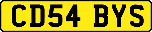 CD54BYS