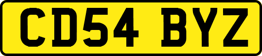 CD54BYZ