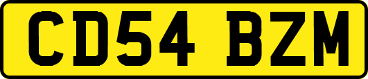 CD54BZM