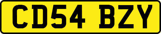 CD54BZY