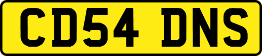 CD54DNS