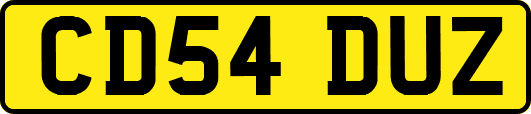 CD54DUZ