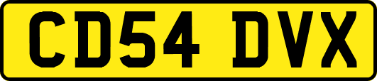 CD54DVX