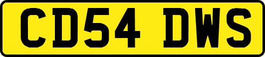 CD54DWS