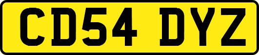 CD54DYZ