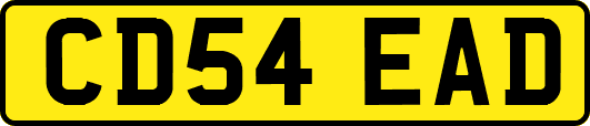 CD54EAD