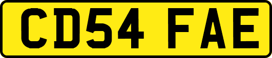 CD54FAE